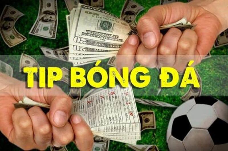 Tip bóng đá là gì ? Cách xem tip bóng đá chuẩn hôm nay của nhà cái 11bet